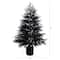 6ft. Artificial Halloween Real Touch Black Norfolk Pine Christmas Tree with Natural Look